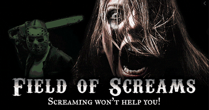 Field of Screams Spooky World
